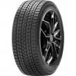 Wintertraxx Suv